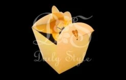 Vouwdoos Boxy Goud (24st)