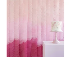 Backdrop Disc Roze Ombre Ginger Ray