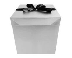Cadeaudoos Zilver + Zwarte Strik 15cm -Versiering Winkel cadeaudoos zilver 15cm 2 1