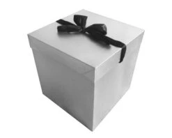 Cadeaudoos Zilver + Zwarte Strik 15cm