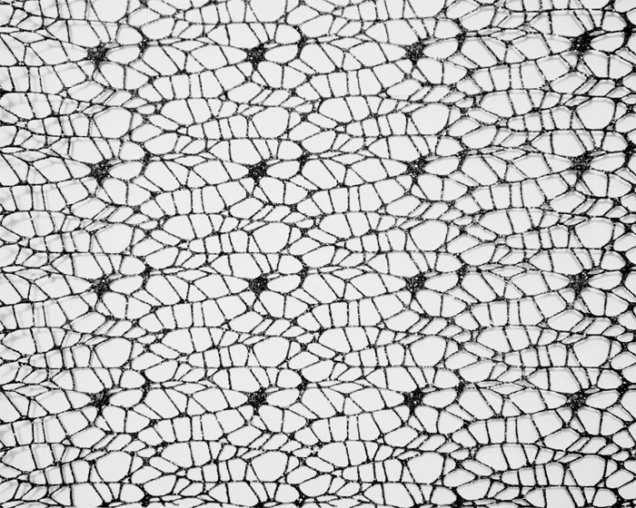 Decoratiestof Spider Glitter Zwart (28x270cm) 2 Decoratiestof Spider Glitter Zwart (28x270cm) - Afbeelding 2