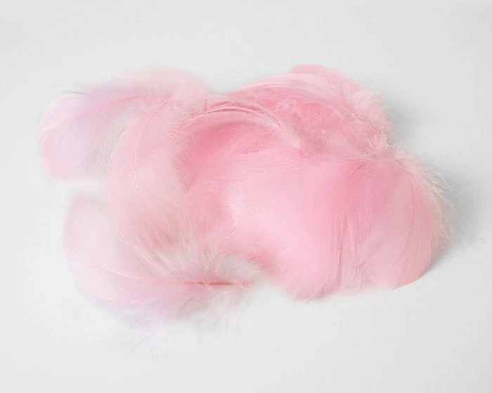 Decoratie Veren Roze (±50st) 1 Decoratie Veren Roze (±50st)