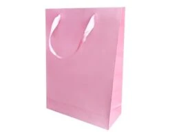 Kartonnen Cadeautas L Roze (12st)