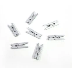 Houten Mini Knijpertjes Zilver (24st)