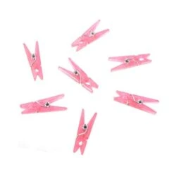 Plastic Decoratie Knijper Roze (24st)