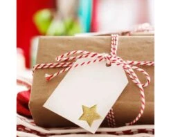 Bindtouw Katoen Blauw/Wit (100m) -Versiering Winkel img 2224 2