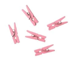 Houten Mini Knijpertjes Roze (24st)