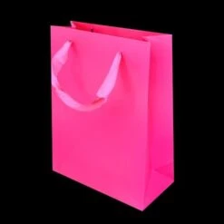 Kartonnen Cadeautas M Fuchsia (12st)