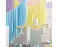 * Backdrop Streamers Pastel Ginger Ray