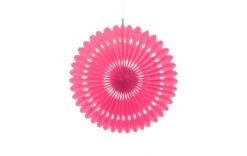 Deco Waaier XL Roze (2st)