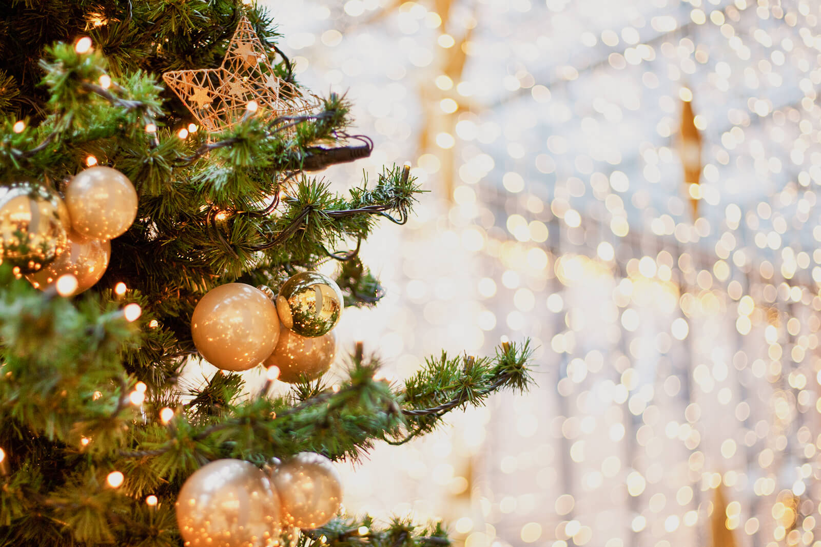 Versiering Winkel 1 Versiering Winkel -Versiering Winkel 273890 1600x1066 quick history christmas lights